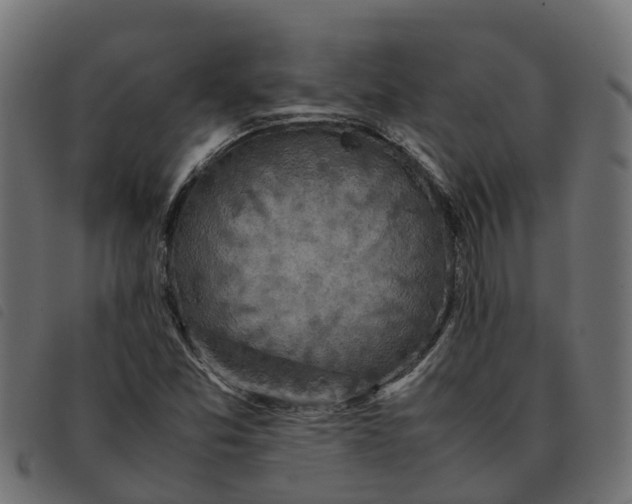 X0000092221357200710121148