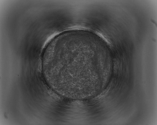 X0000092221358200710121148