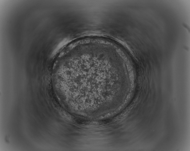 X0000092221359200710121148