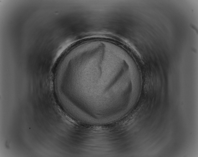 X0000092221360200710121148