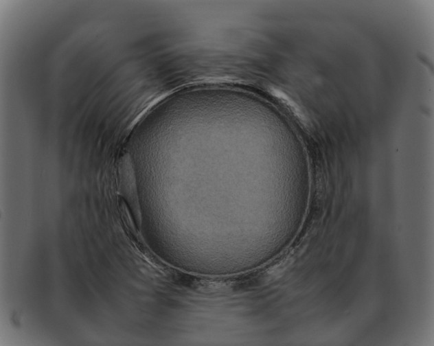 X0000092221361200710121148