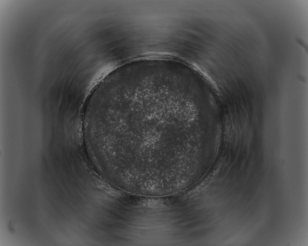 X0000092221362200710121148