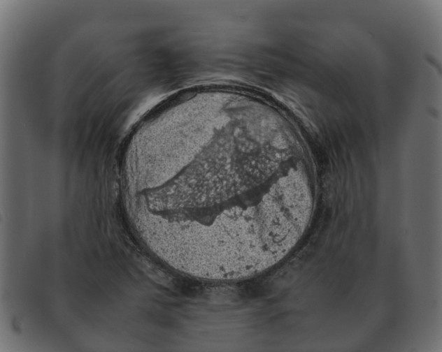 X0000092221363200710121148