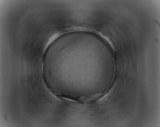 X0000092221365200710121148