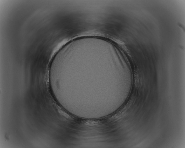 X0000092221366200710121148