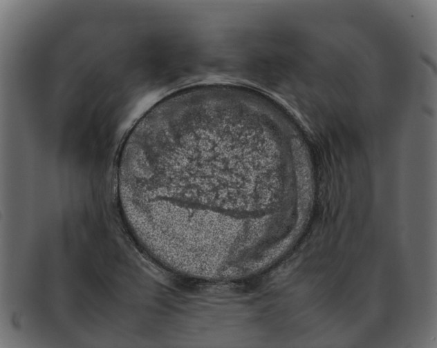 X0000092221367200710121148