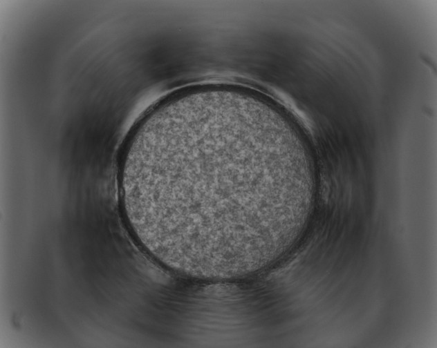 X0000092221368200710121148