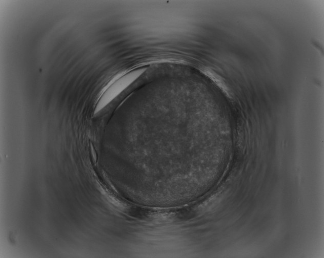 X0000092221369200710121148