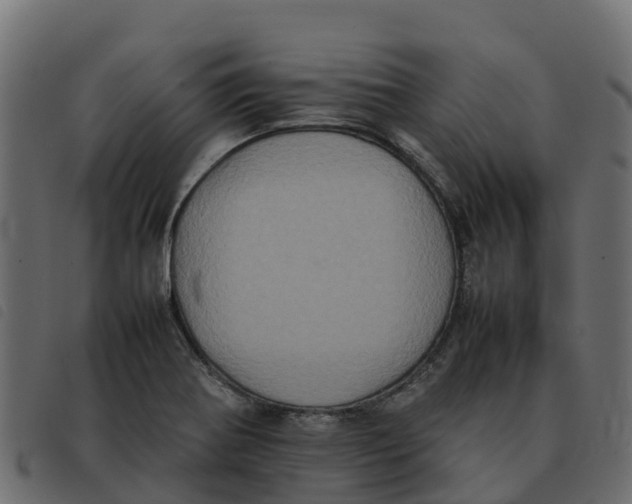 X0000092221370200710121148