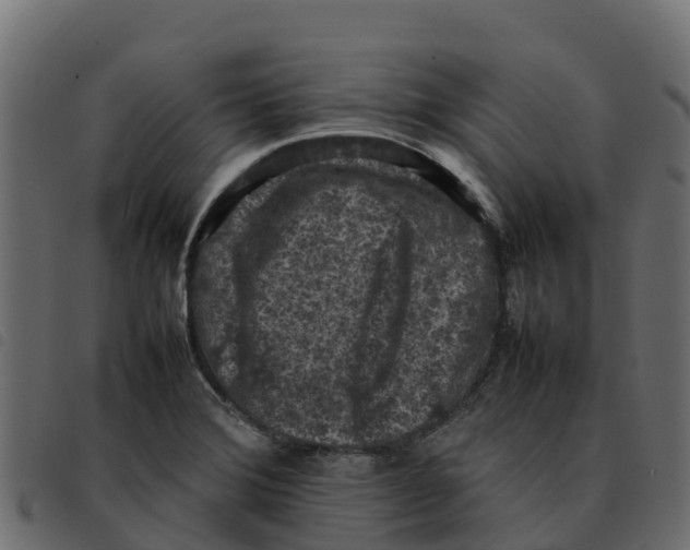 X0000092221372200710121148