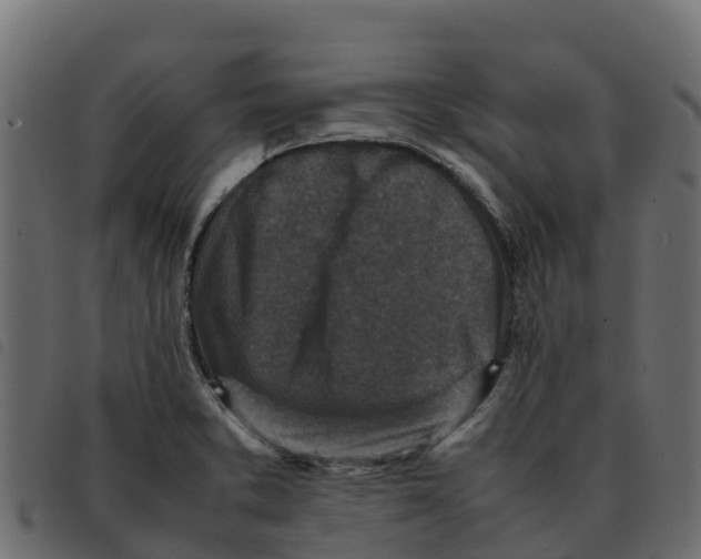 X0000092221373200710121148