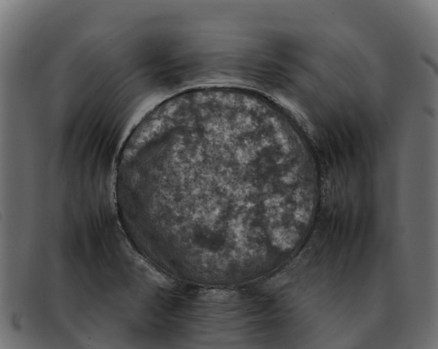 X0000092221374200710121148