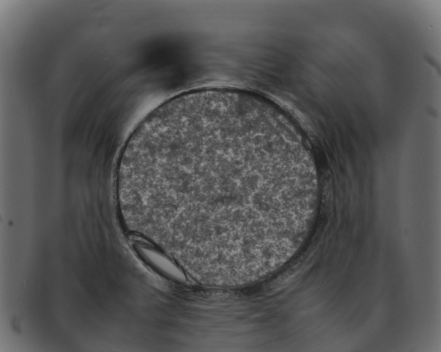 X0000092221375200710121148