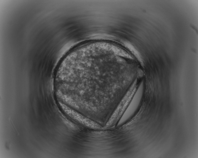 X0000092221376200710121148