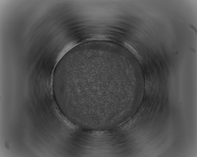 X0000092221378200710121148