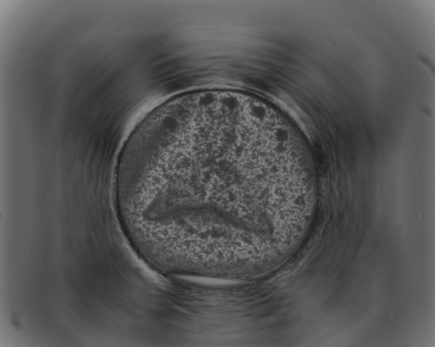 X0000092221379200710121148