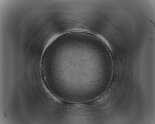 X0000092221381200710121148
