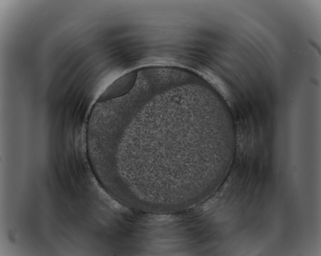 X0000092221382200710121148