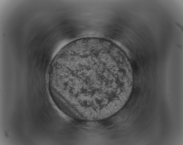 X0000092221383200710121148
