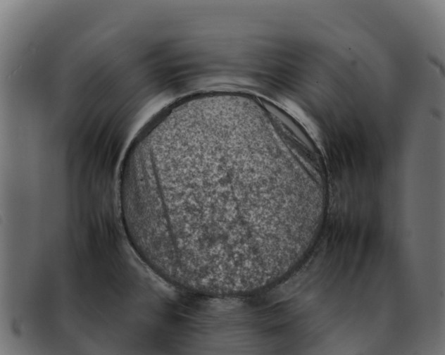 X0000092221384200710121148