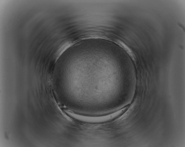 X0000092221385200710121148
