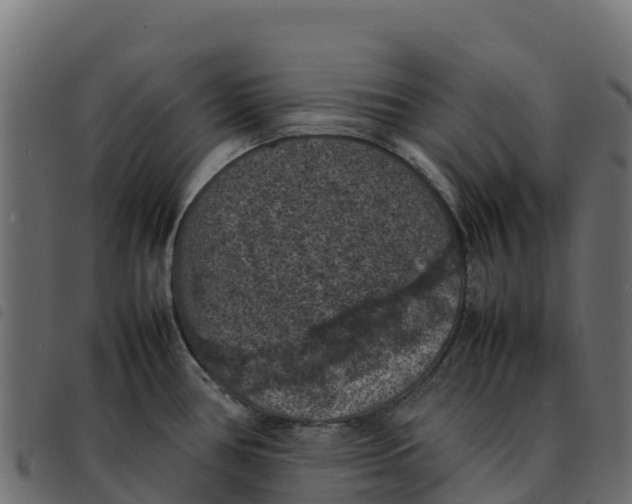 X0000092221386200710121148