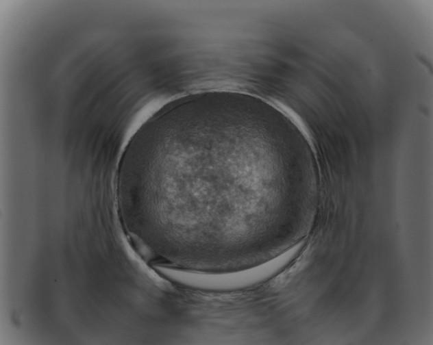 X0000092221389200710121148