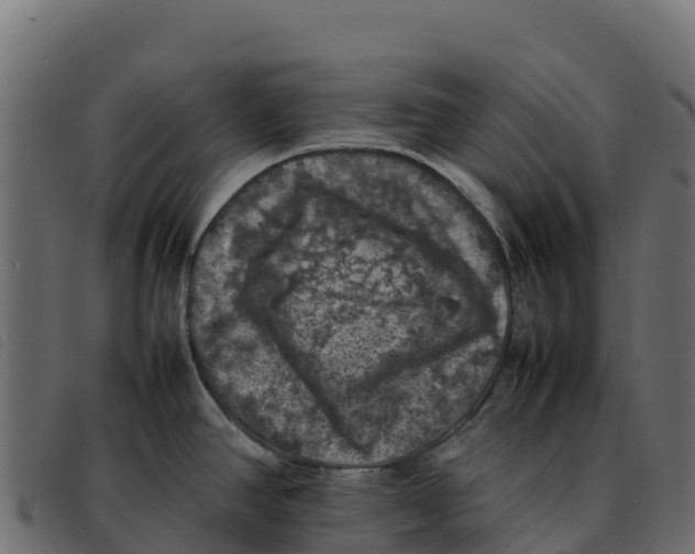 X0000092221390200710121148