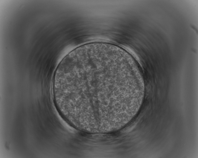 X0000092221391200710121147