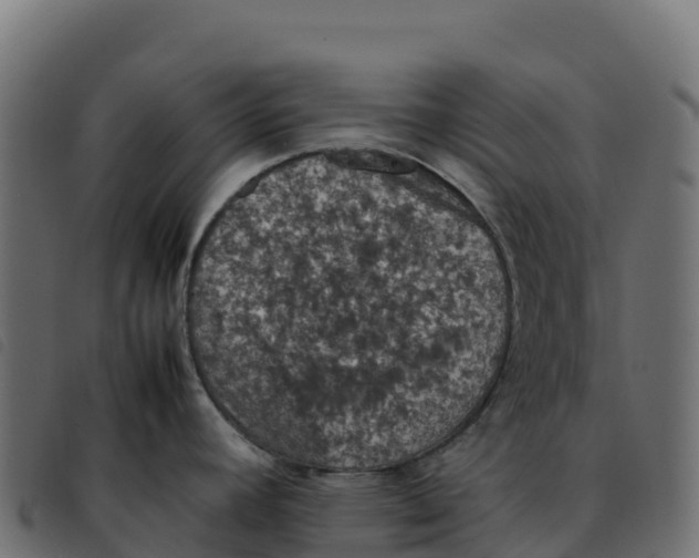 X0000092221392200710121147