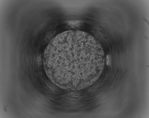 X0000092221395200710121147