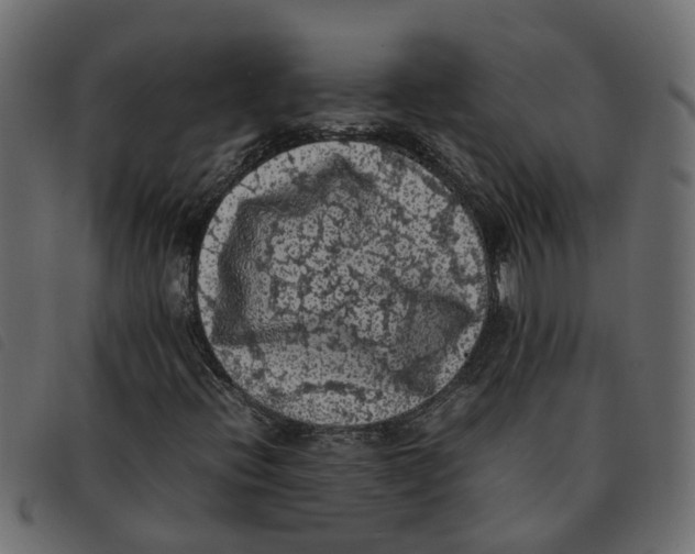 X0000092221396200710121147