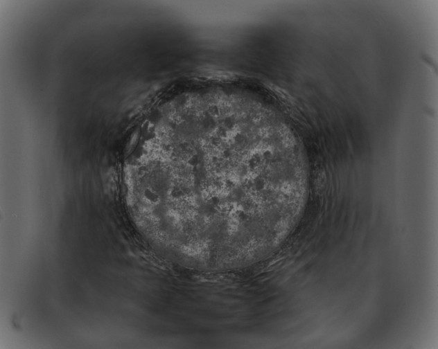 X0000092221397200710121147