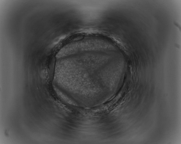 X0000092221398200710121147
