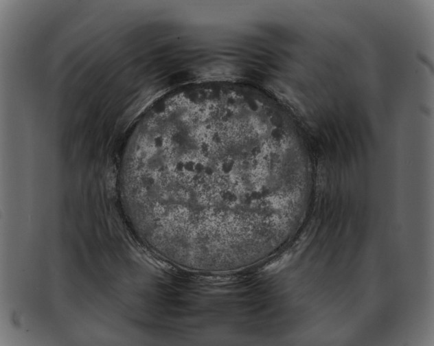 X0000092221401200710121147