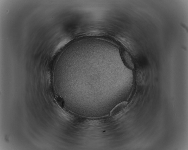 X0000092221402200710121147