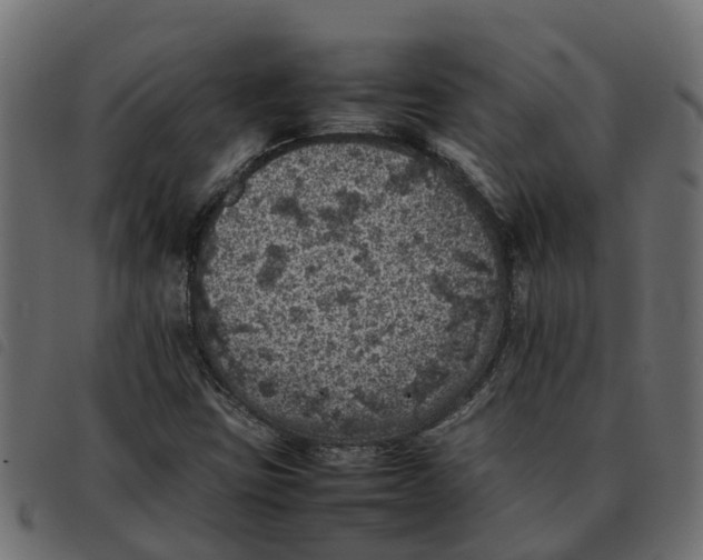 X0000092221403200710121147