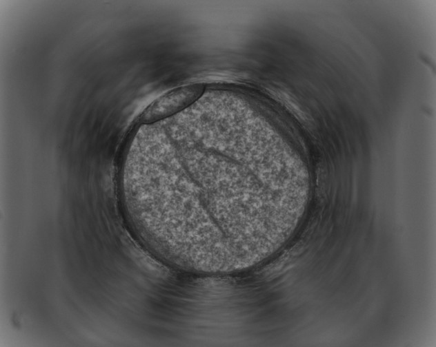 X0000092221404200710121147