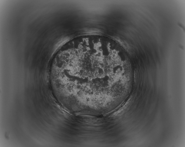 X0000092221405200710121147
