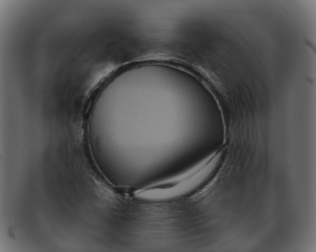 X0000092221406200710121147