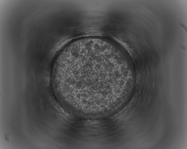 X0000092221407200710121147