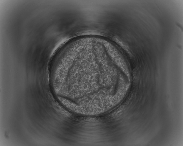 X0000092221408200710121147