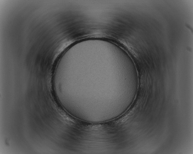 X0000092221410200710121147