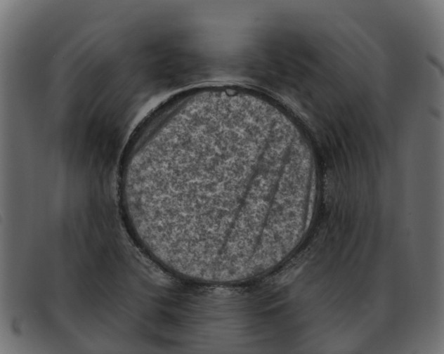 X0000092221412200710121147