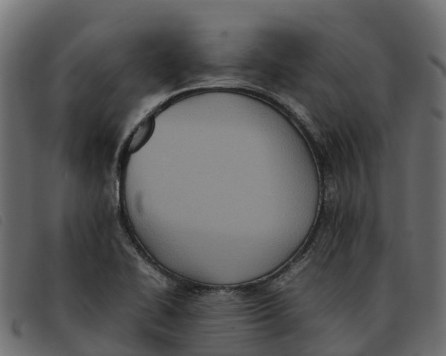 X0000092221414200710121147