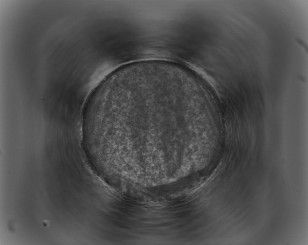 X0000092221415200710121147