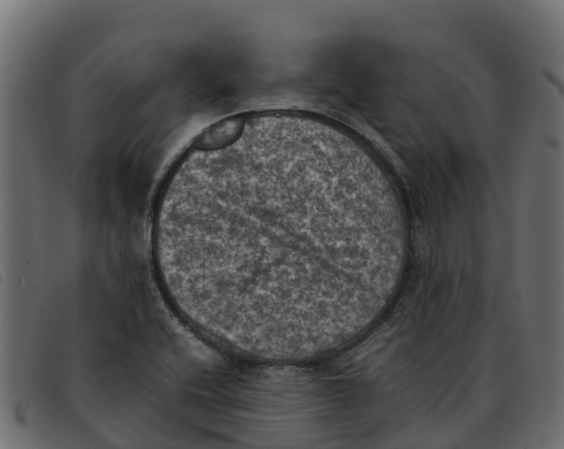X0000092221416200710121147