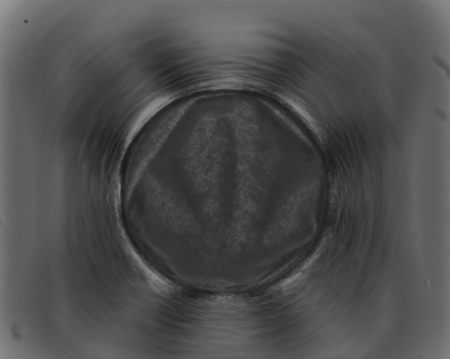 X0000092221418200710121147