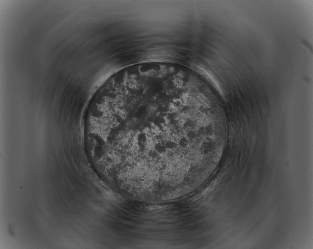 X0000092221419200710121147