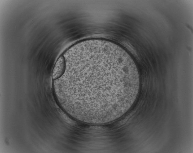 X0000092221420200710121147
